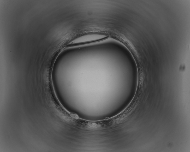 X0000091090257200708271302