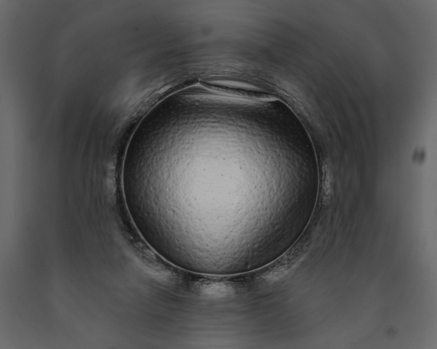 X0000091090258200708271302