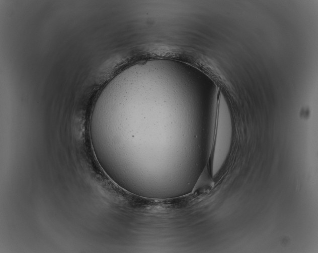 X0000091090259200708271302