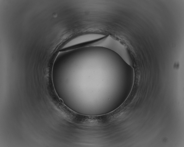 X0000091090260200708271302