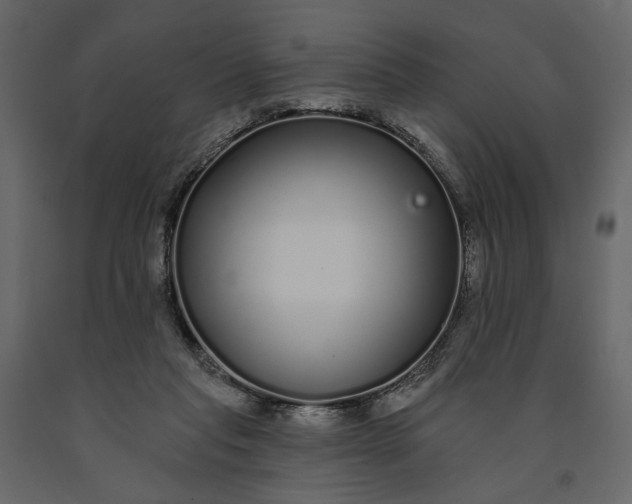 X0000091090261200708271302