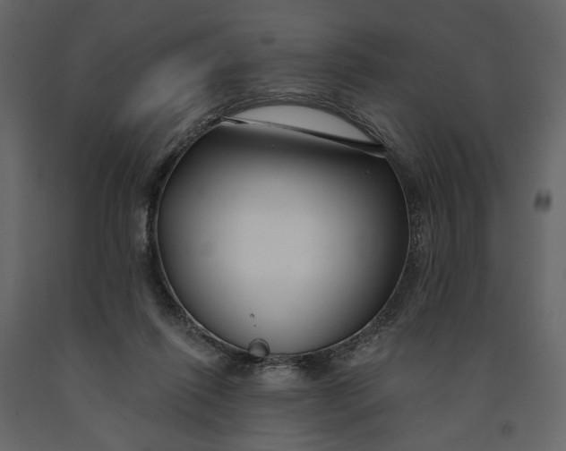 X0000091090262200708271302