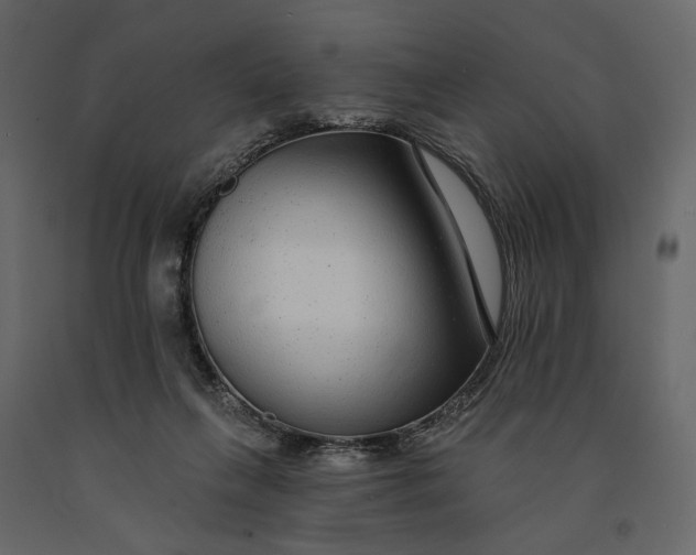 X0000091090263200708271302