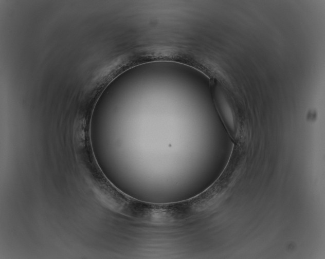 X0000091090264200708271302