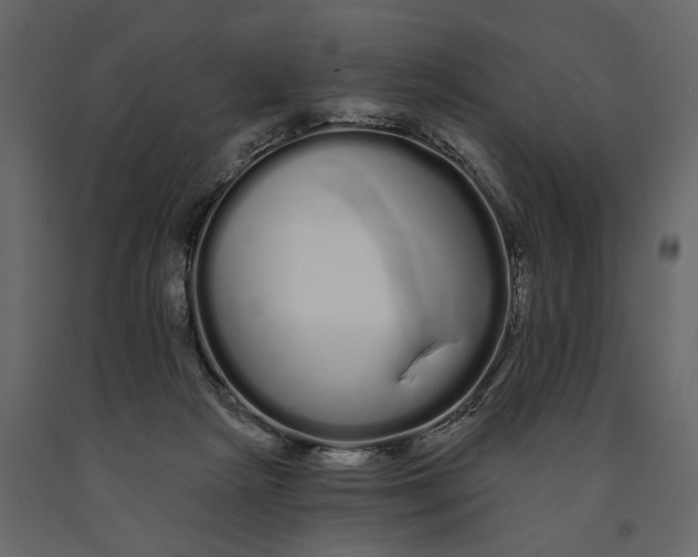 X0000091090265200708271302