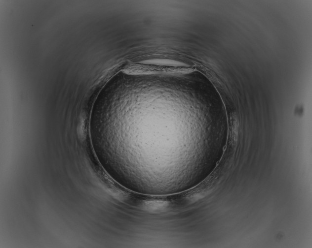 X0000091090266200708271302