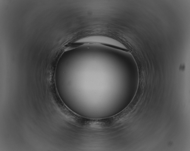 X0000091090268200708271302