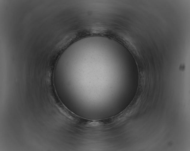 X0000091090269200708271302