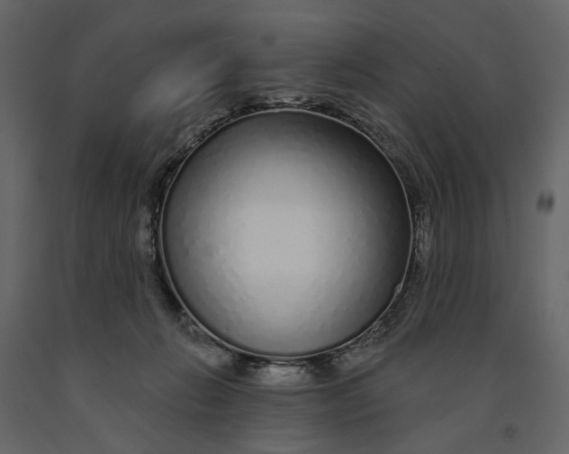 X0000091090270200708271302