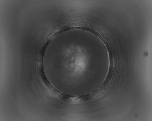 X0000091090272200708271302