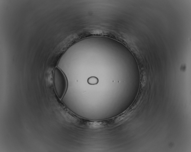 X0000091090273200708271302