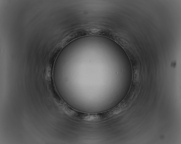 X0000091090274200708271302