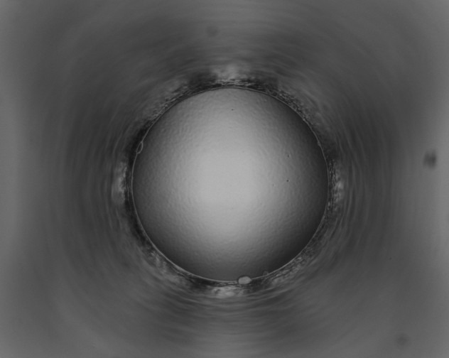 X0000091090275200708271302