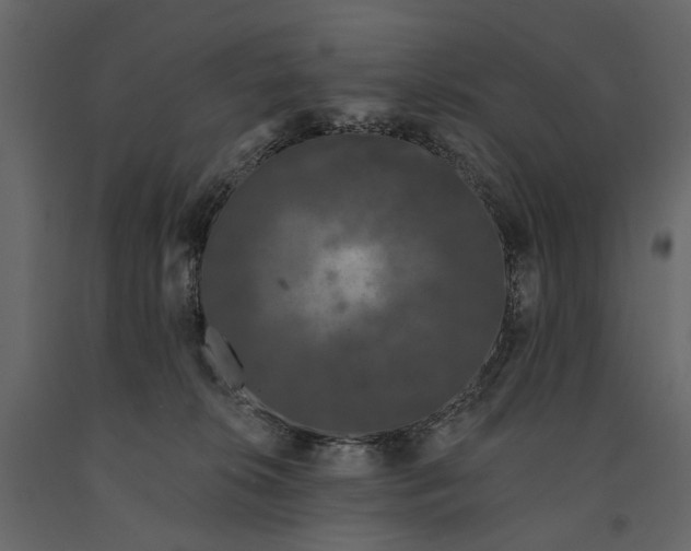 X0000091090276200708271302