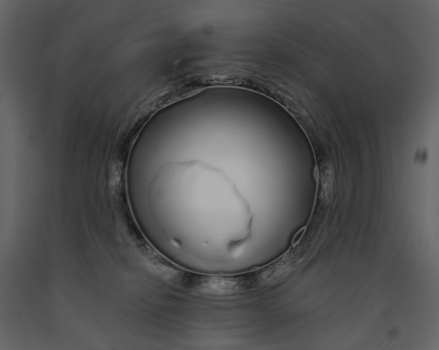 X0000091090278200708271302