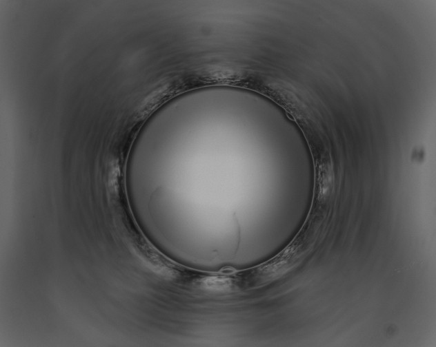 X0000091090279200708271302