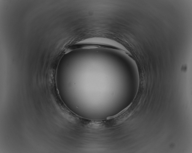 X0000091090280200708271302