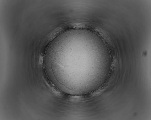 X0000091090281200708271302