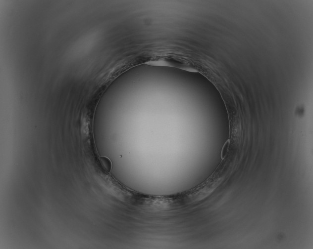 X0000091090282200708271302