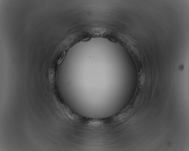 X0000091090283200708271302