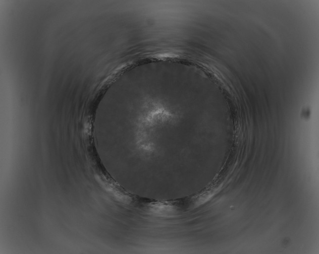 X0000091090284200708271302