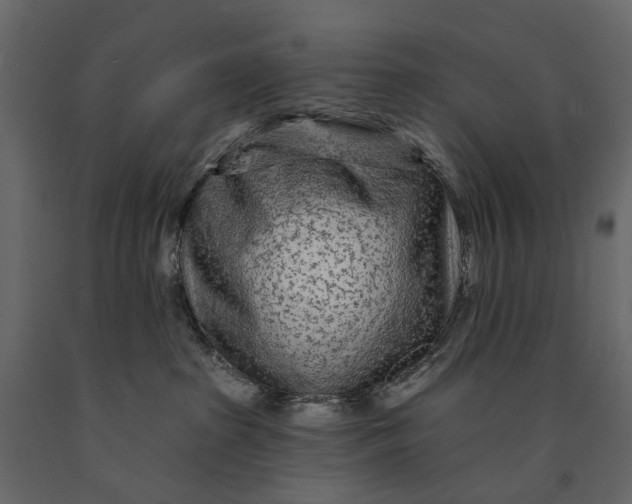 X0000091090285200708271302