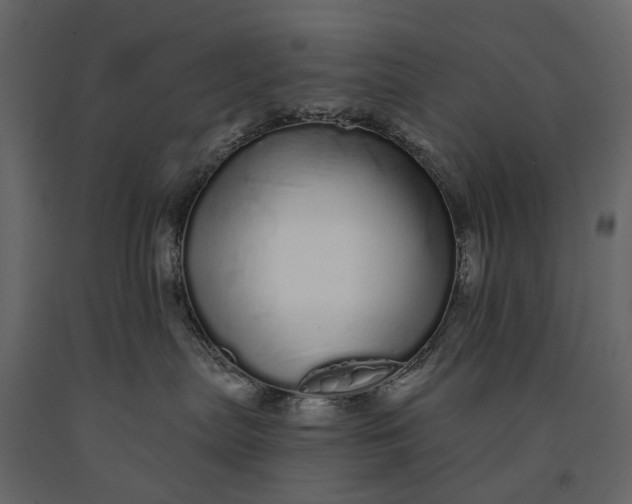 X0000091090287200708271302