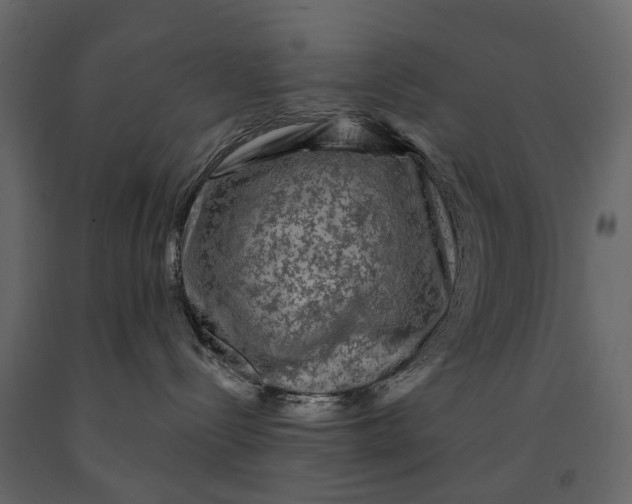 X0000091090288200708271302