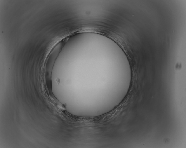 X0000091090289200708271302