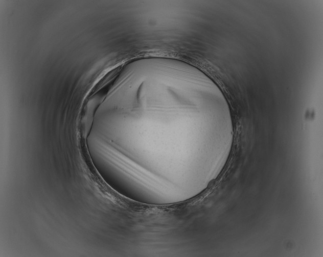 X0000091090290200708271302