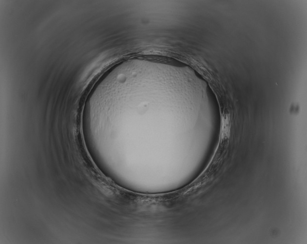 X0000091090291200708271302