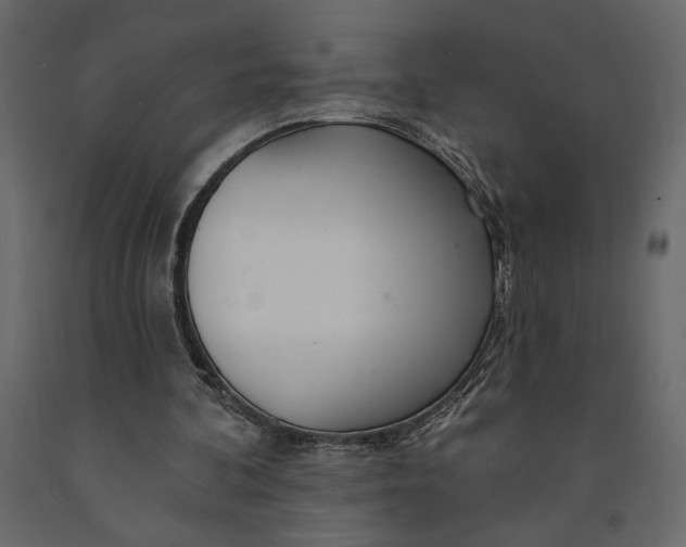 X0000091090292200708271302