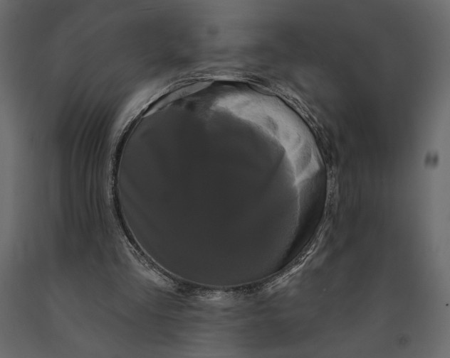 X0000091090293200708271302