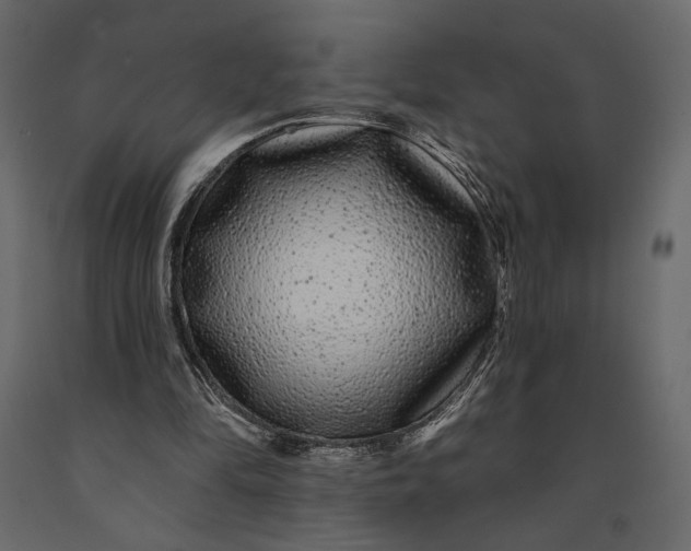 X0000091090294200708271302