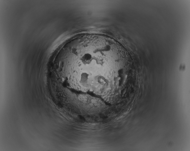 X0000091090295200708271302