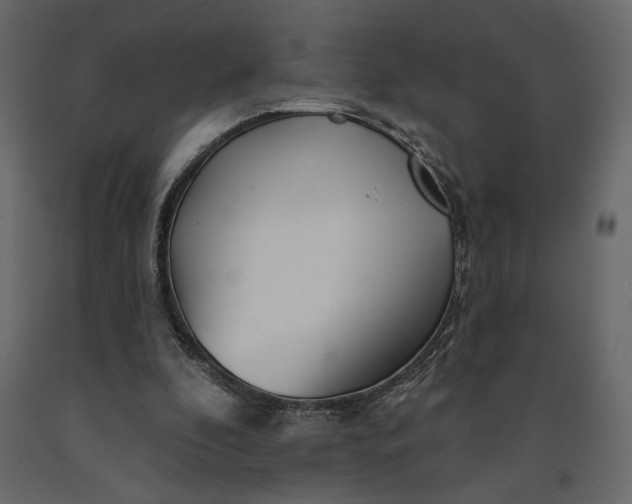 X0000091090296200708271302