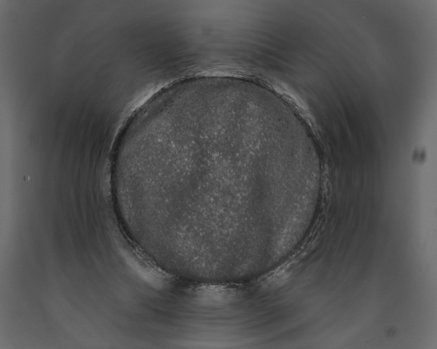 X0000091090298200708271301