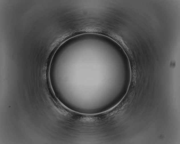 X0000091090299200708271301