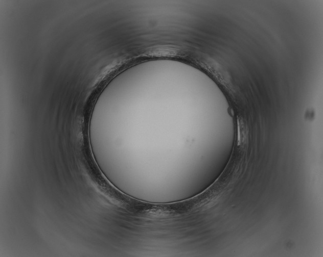 X0000091090300200708271301