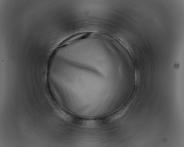 X0000091090301200708271301