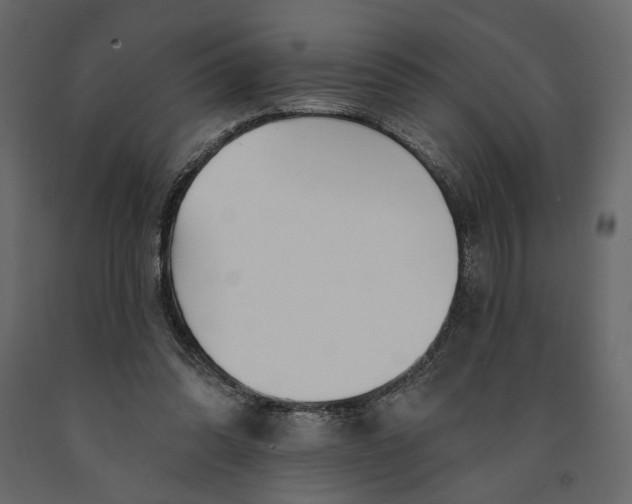 X0000091090302200708271301