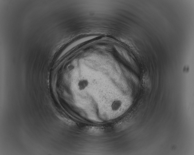 X0000091090303200708271301