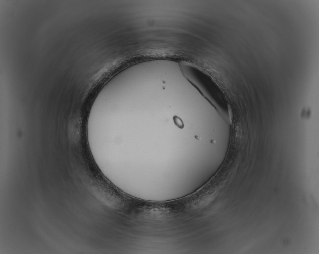 X0000091090304200708271301