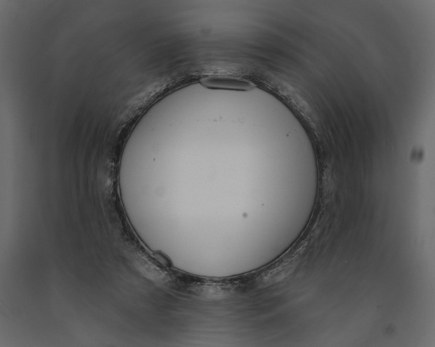 X0000091090305200708271301