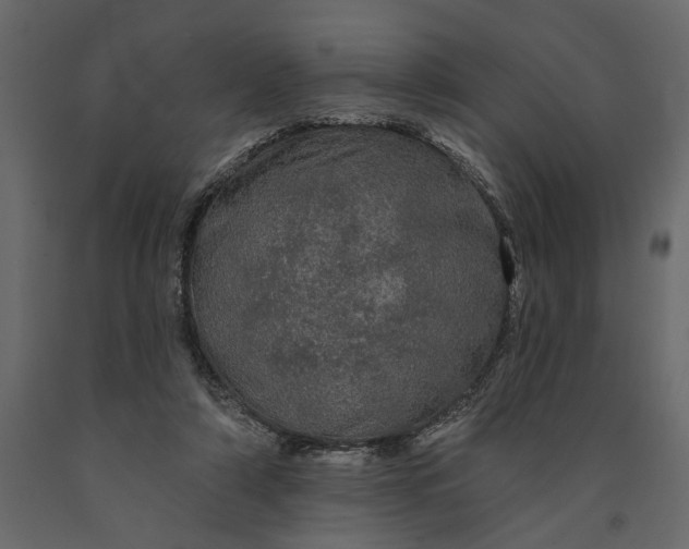 X0000091090306200708271301