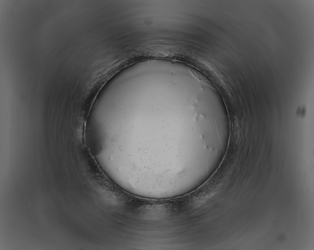 X0000091090307200708271301