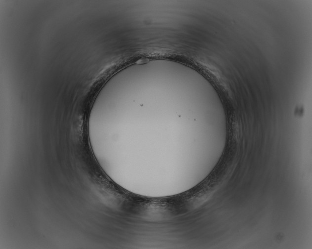 X0000091090308200708271301