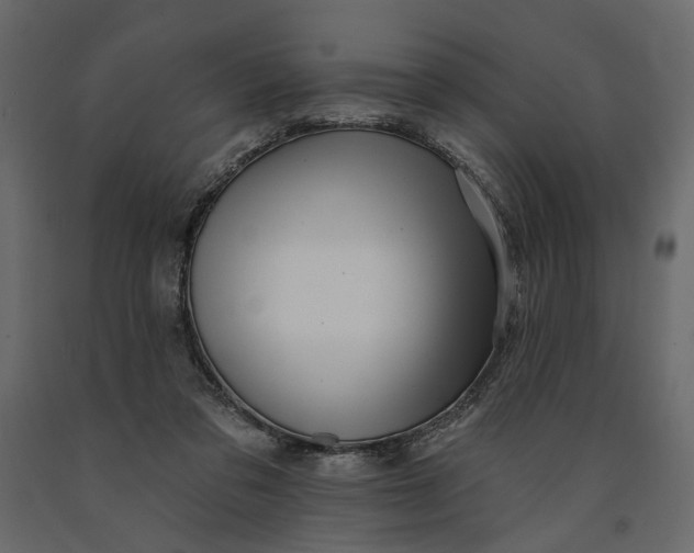 X0000091090309200708271301