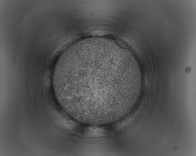 X0000091090311200708271301