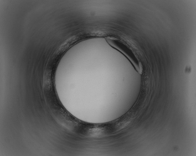 X0000091090312200708271301